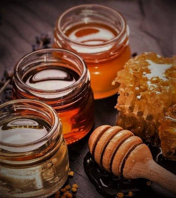 photo_5364262192922350680_x